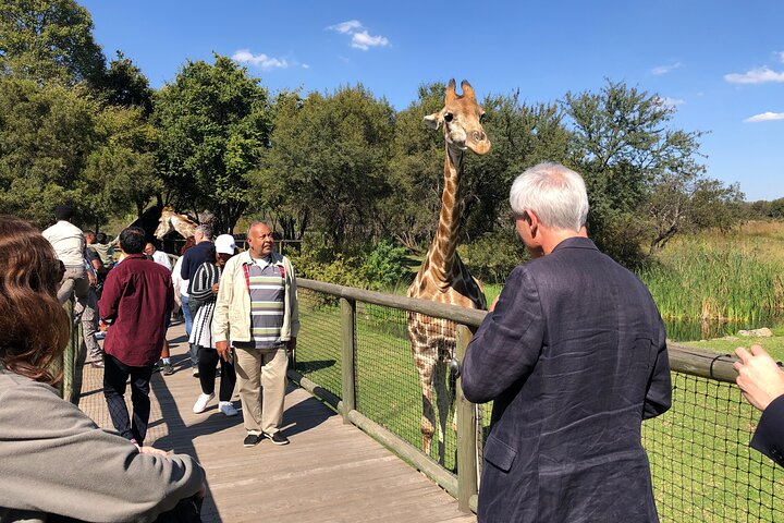 People enjoying the beauty and nature of the Lion Park